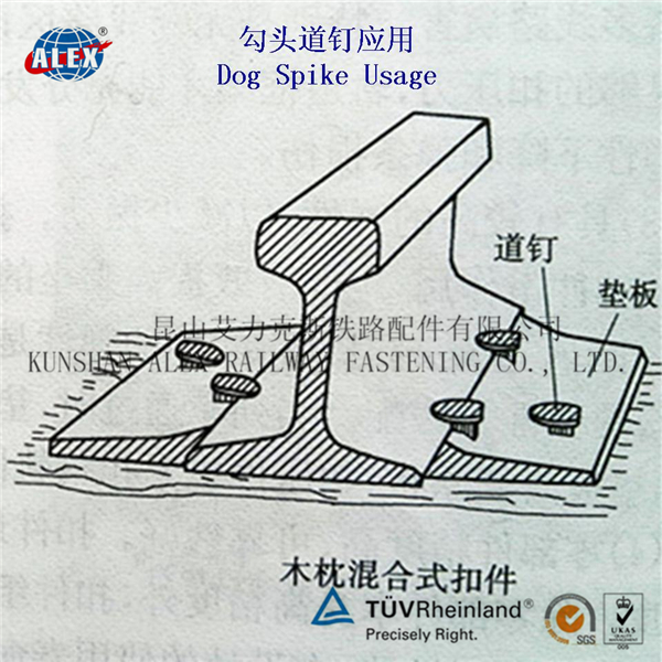 香港正全文免费资料大全