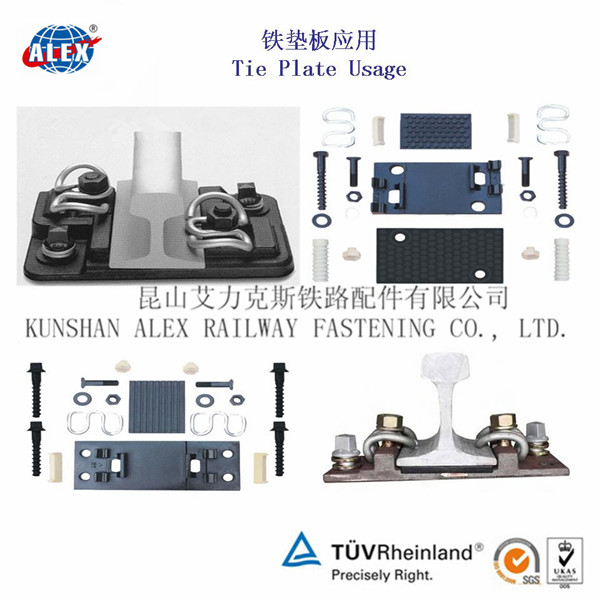 香港正全文免费资料大全