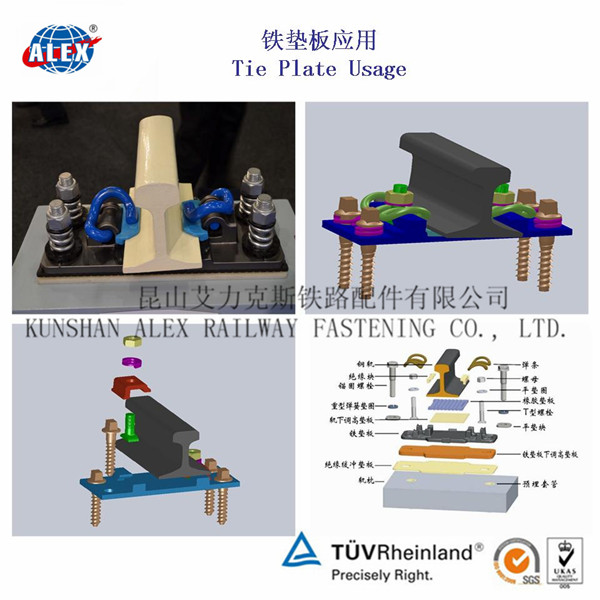 香港正全文免费资料大全