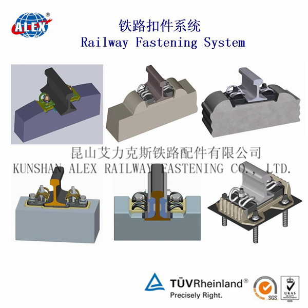 香港正全文免费资料大全